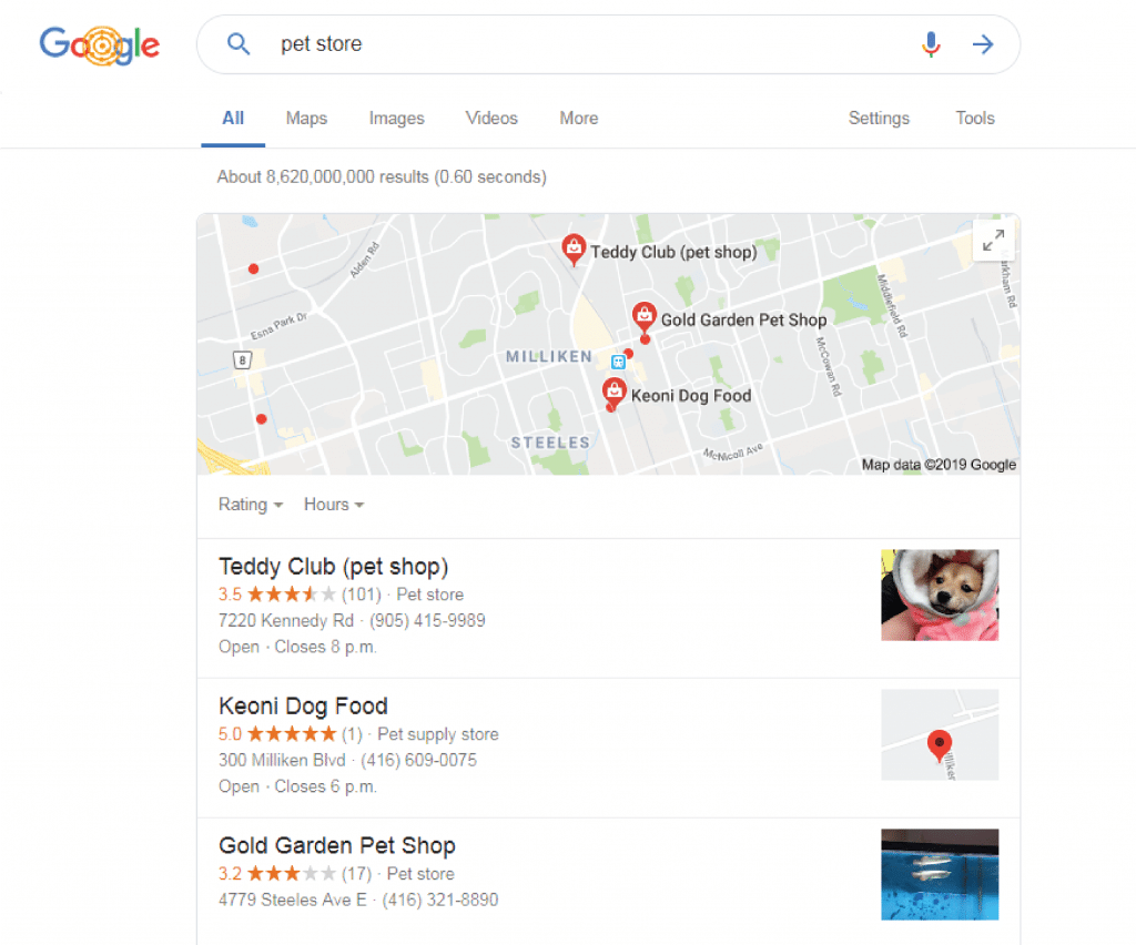 Google My Business Pet Stores 