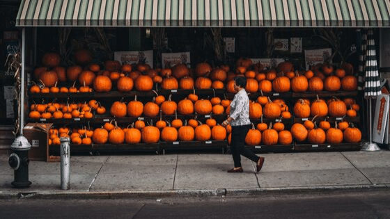 pumpkin display halloween