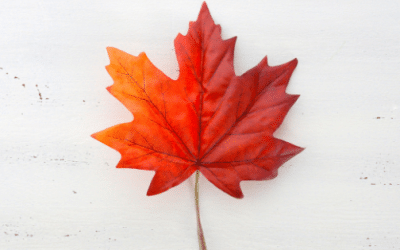 Canada Day Free Stock Images
